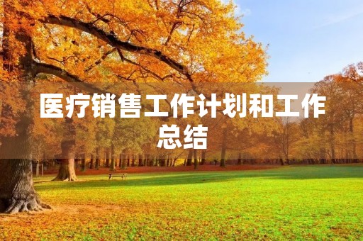 医疗销售工作计划和工作总结