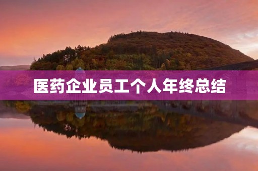 医药企业员工个人年终总结