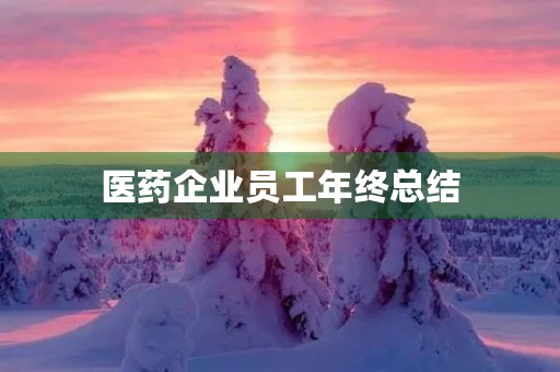 医药企业员工年终总结 医药企业员工年终总结