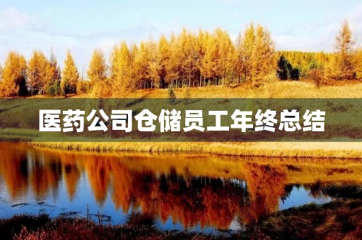 医药公司仓储员工年终总结 医药公司仓储员工年终总结