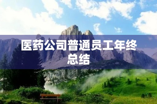 医药公司普通员工年终总结 医药公司普通员工年终总结