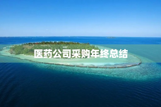 医药公司采购年终总结