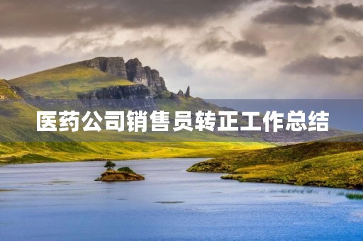 医药公司销售员转正工作总结