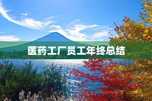 医药工厂员工年终总结 医药工厂员工年终总结