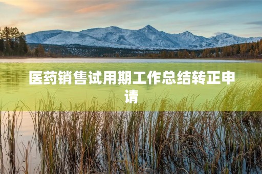 医药销售试用期工作总结转正申请