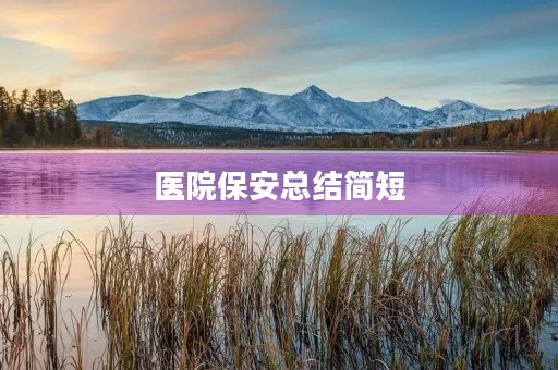 医院保安总结简短