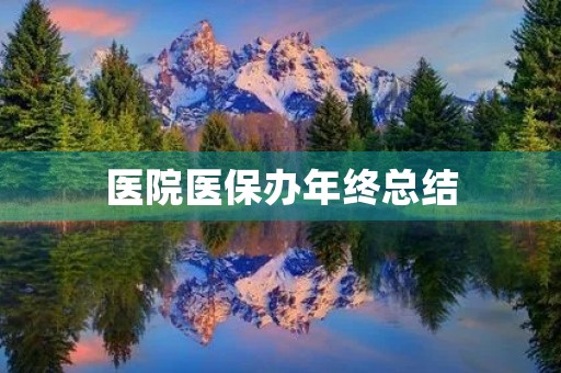 医院医保办年终总结 医院医保办年终总结