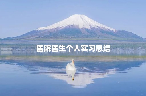 医院医生个人实习总结 医院医生个人实习总结