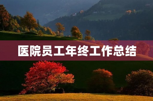 医院员工年终工作总结 医院员工年终工作总结