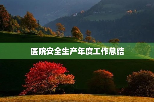 医院安全生产年度工作总结