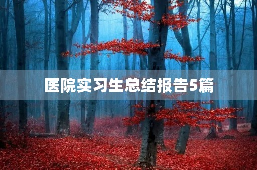 医院实习生总结报告5篇