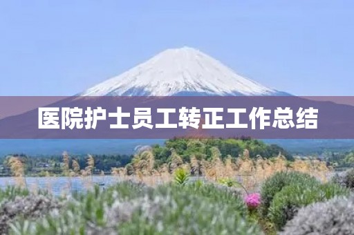 医院护士员工转正工作总结