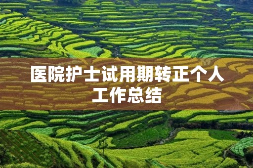 医院护士试用期转正个人工作总结