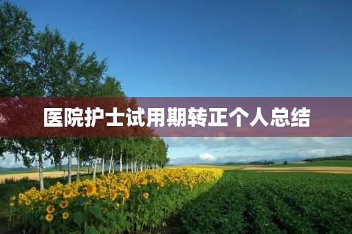 医院护士试用期转正个人总结 医院护士试用期转正个人总结
