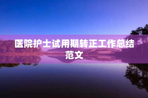 医院护士试用期转正工作总结范文