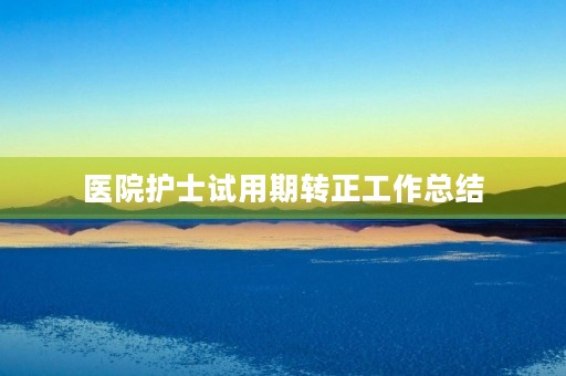 医院护士试用期转正工作总结