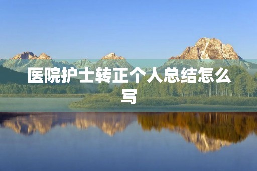 医院护士转正个人总结怎么写