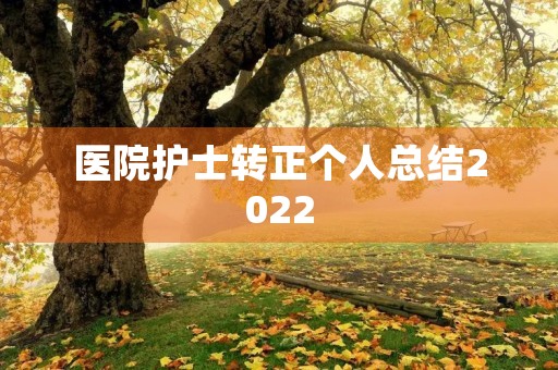 医院护士转正个人总结2022