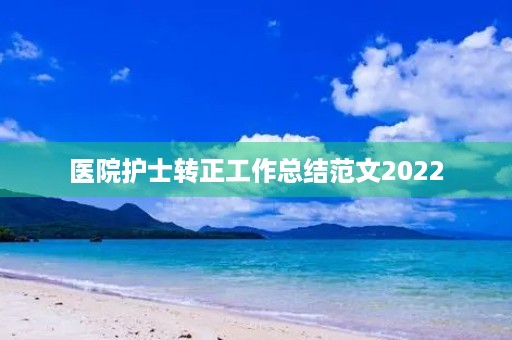 医院护士转正工作总结范文2022
