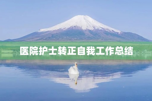 医院护士转正自我工作总结