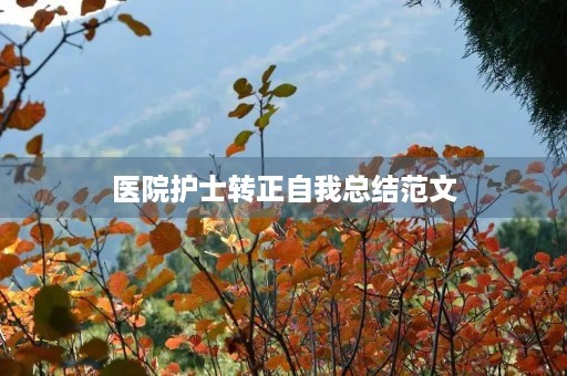 医院护士转正自我总结范文