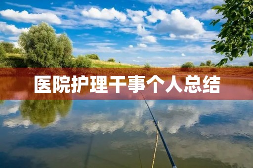 医院护理干事个人总结