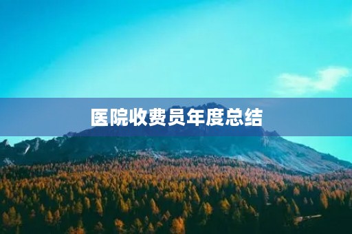 医院收费员年度总结