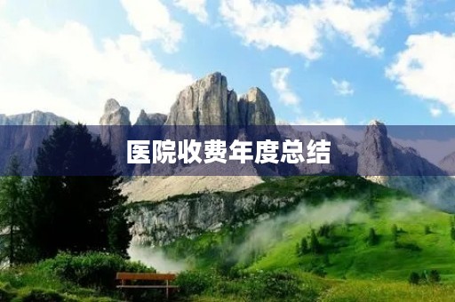 医院收费年度总结