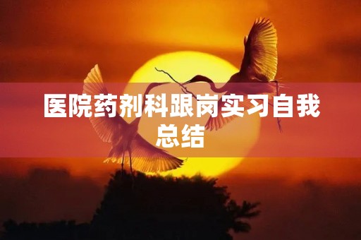 医院药剂科跟岗实习自我总结