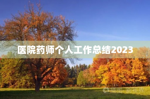 医院药师个人工作总结2023