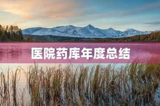 医院药库年度总结