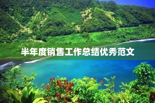 半年度销售工作总结优秀范文