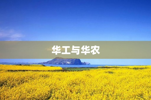 华工与华农 华工与华农
