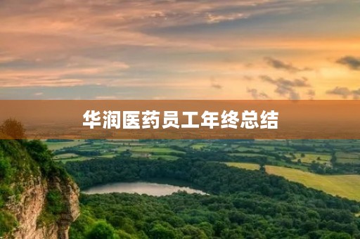 华润医药员工年终总结 华润医药员工年终总结
