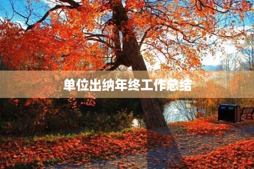 单位出纳年终工作总结 单位出纳年终工作总结