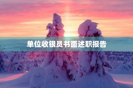 单位收银员书面述职报告【内容】