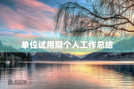 单位试用期个人工作总结