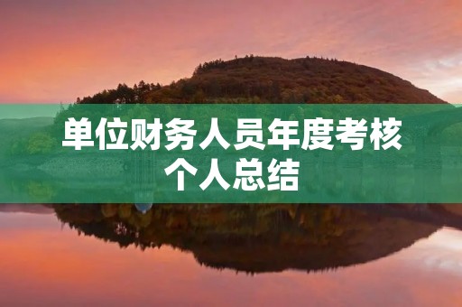 单位财务人员年度考核个人总结