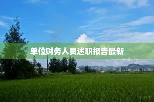 单位财务人员述职报告最新【7篇】