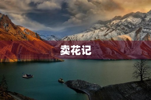 卖花记 卖花记
