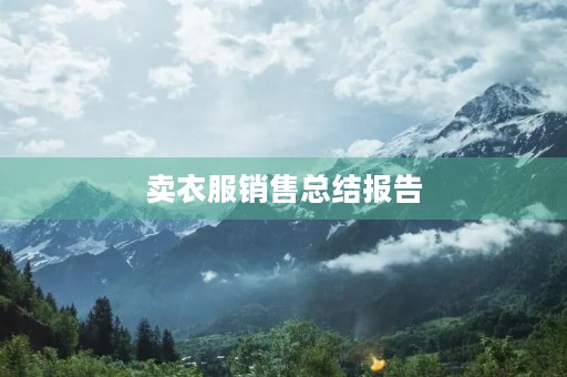 卖衣服销售总结报告