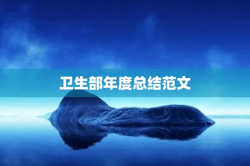 卫生部年度总结范文