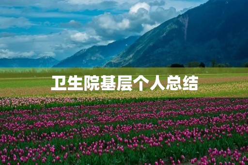 卫生院基层个人总结