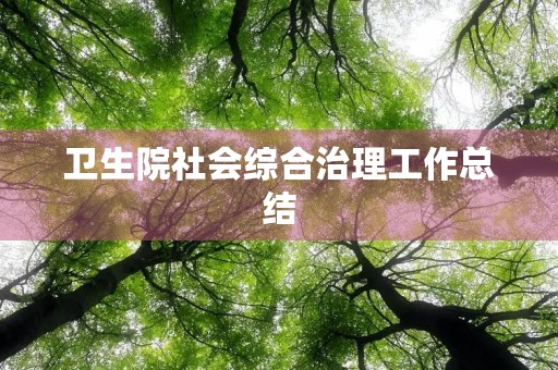 卫生院社会综合治理工作总结