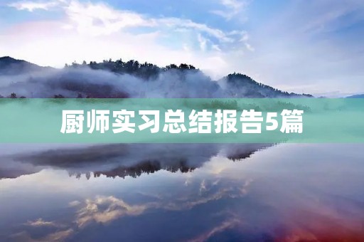 厨师实习总结报告5篇