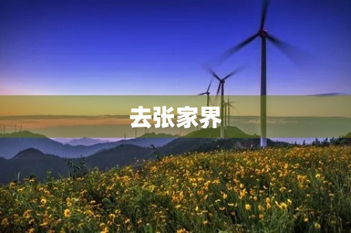 去张家界 去张家界