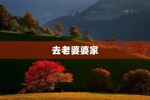 去老婆婆家