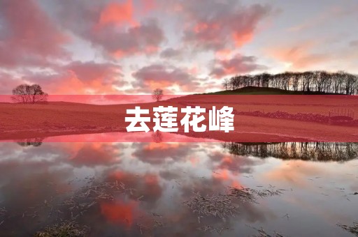 去莲花峰 去莲花峰