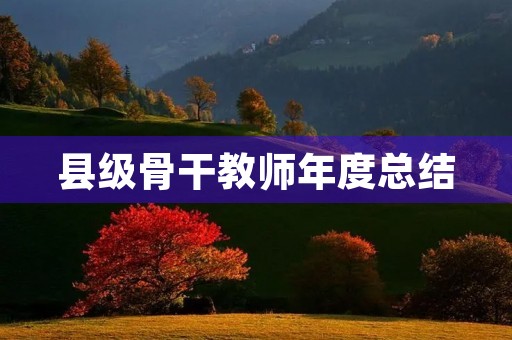 县级骨干教师年度总结
