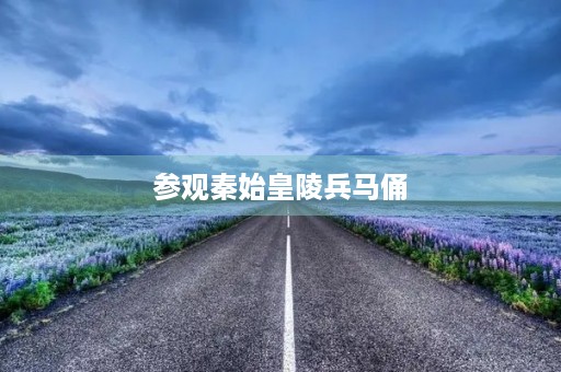 参观秦始皇陵兵马俑